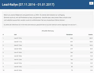 boonity-rally